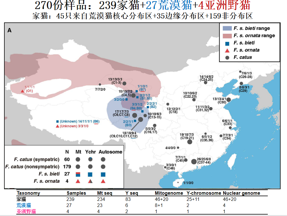 草猫对大橘说 亲戚 我们交往吧 腾讯新闻