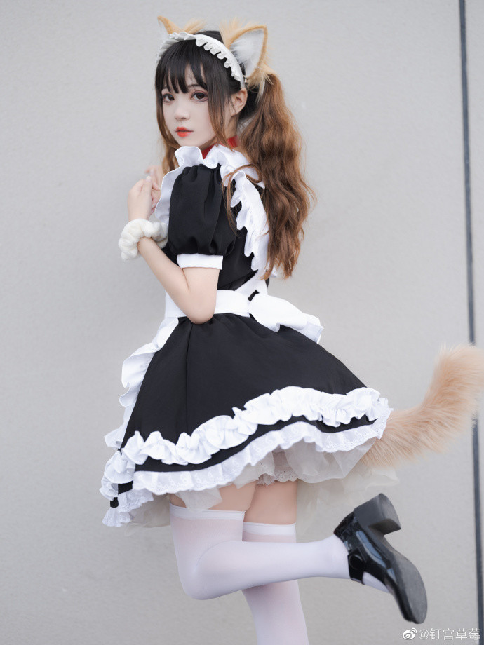 猫猫女仆你在路上看到的猫咪是我上