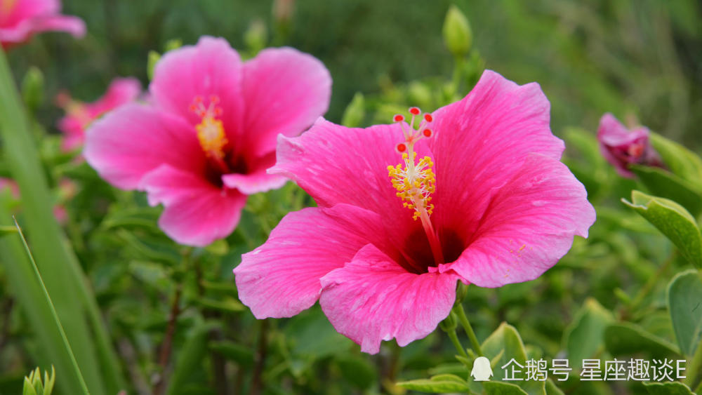 6月25日 29日星座运势 双子积极乐观 天蝎干劲十足 水瓶刮目相看 腾讯新闻