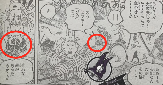 海贼王1017话 奎因人兽形态帅炸 乔巴副作用出现 变成萌宝宝