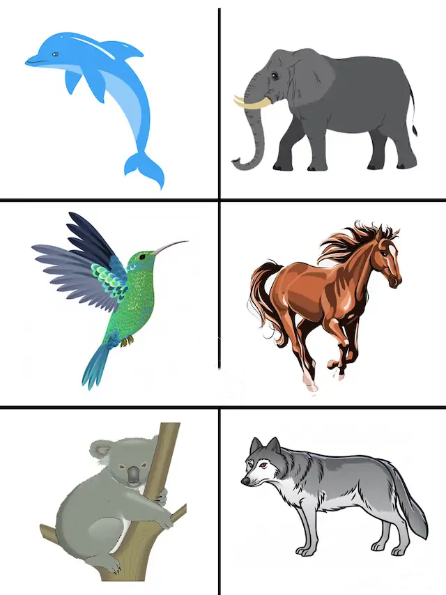 心理测试选择你的精神动物