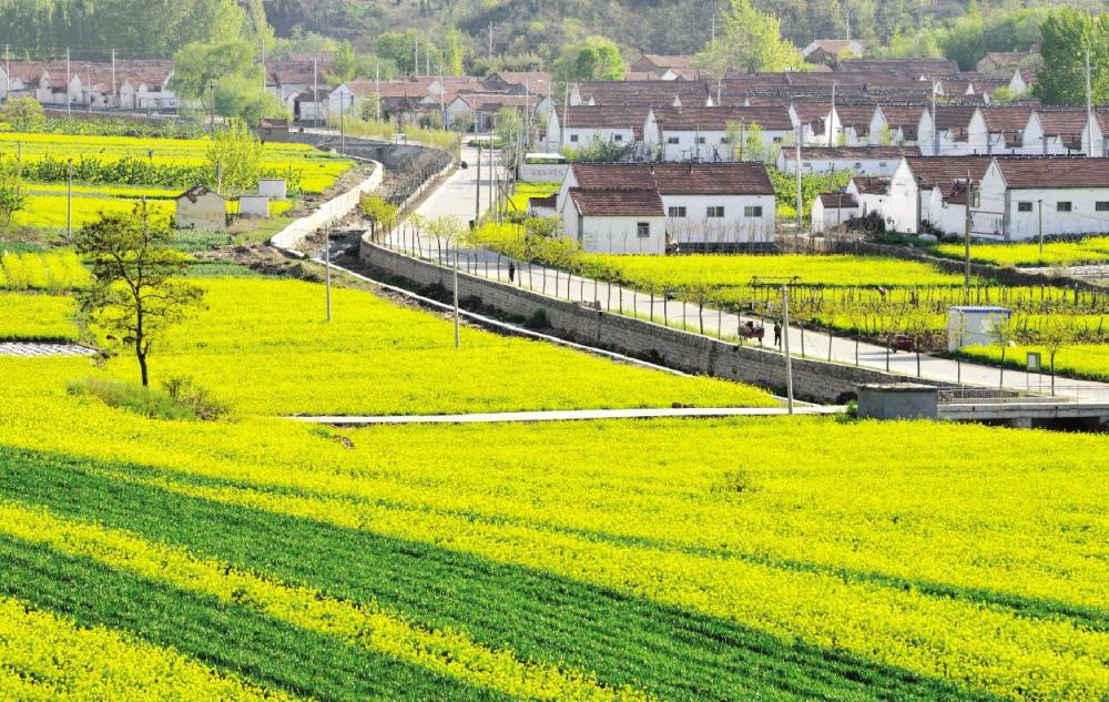 农村新 现象 自建房不香了 农民热衷去县城买房 原因何在 腾讯新闻