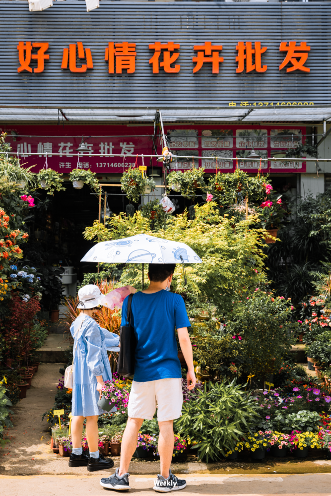 纸质媒体衰落后,原来的书刊批发市场就另外开了一个"小花卉世界",选择