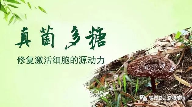 不要再"不相信"拒绝食用菌了,别让人家说你傻