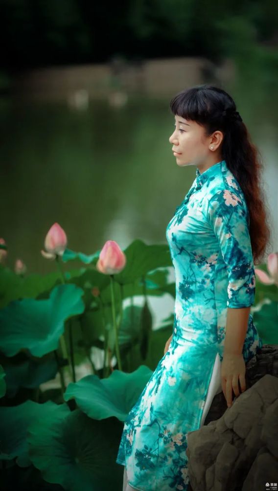 人像摄影青花旗袍荷花开