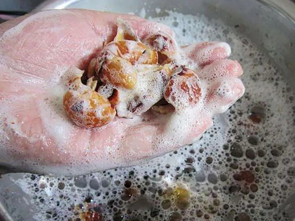 那么无患子有什么用?