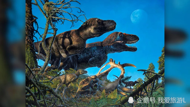 生物学家发现7000万年前在北极孵化的恐龙宝宝