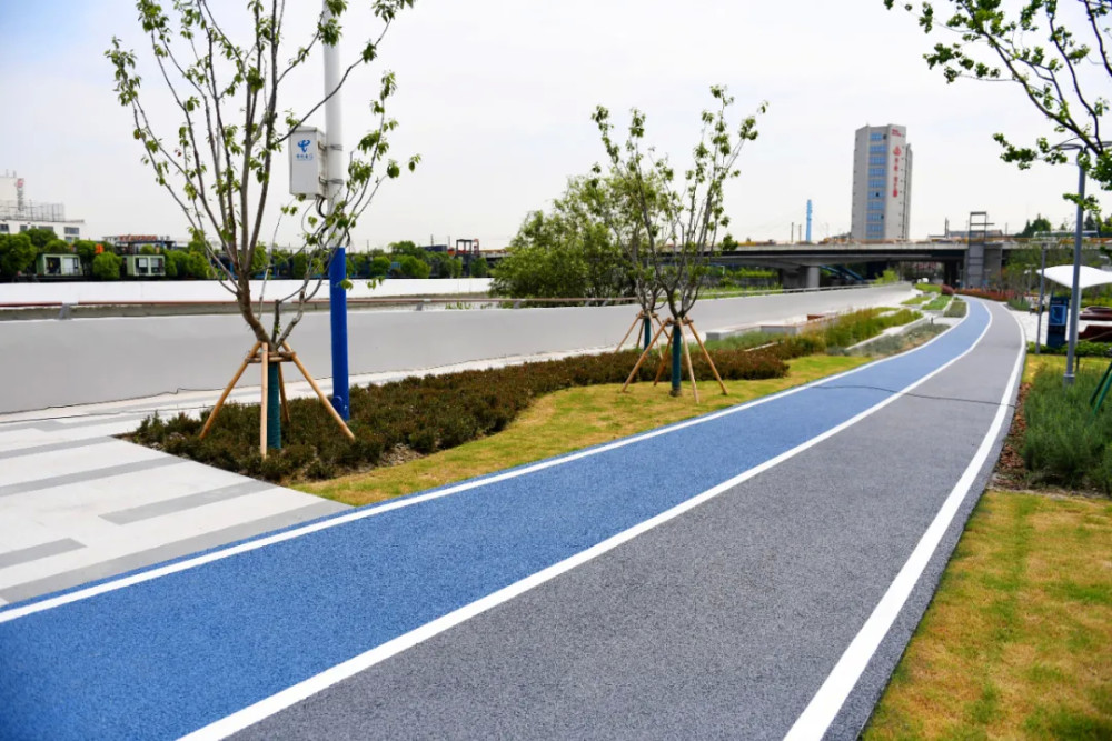 宝山母亲河焕发新面貌蕰藻浜14公里滨水步道今天贯通开放