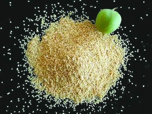 始于种子基因设计彻底改造马铃薯