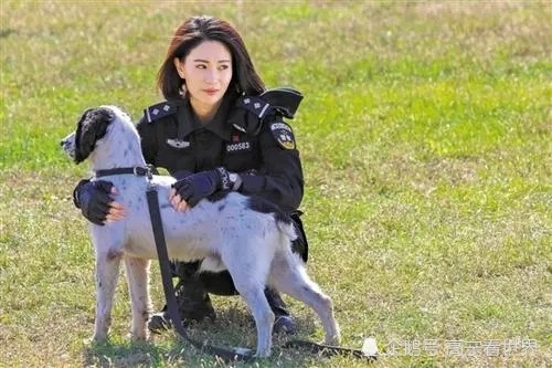 中国刑事警察学院官网发布一则《淘汰犬出售公告》称:出售的淘汰犬共