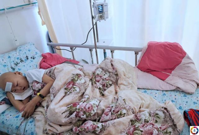 血癌男童出院,医生建议妈妈再生一个孩子保留脐带血,未料一语成谶