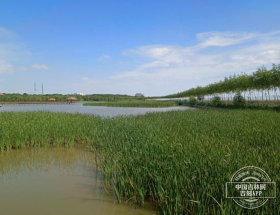 查干湖:珲乌高速公路开通 吸引了越来越多省内外游客慕名前来"打卡"