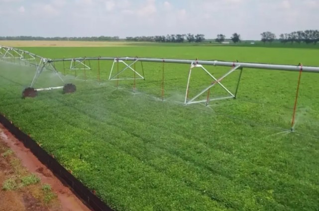 美国农场基本上都是圆形的大约有21的土地被浪费