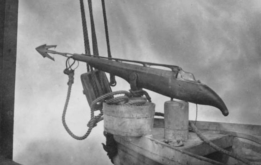 第一种是鱼叉枪.