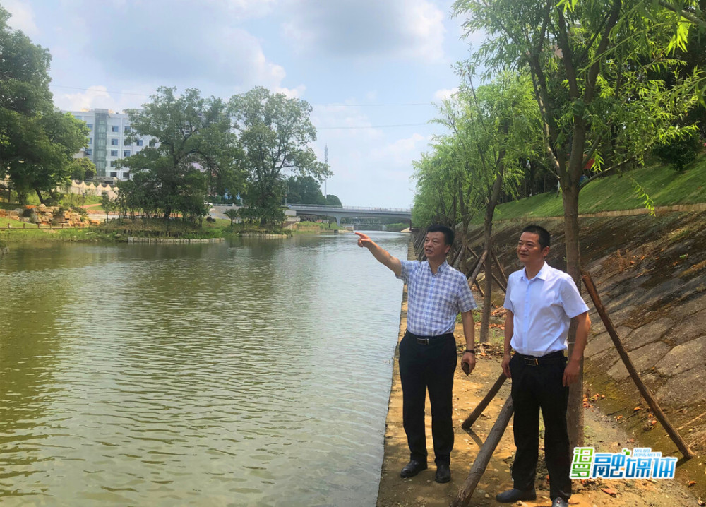 汨罗融媒体讯(记者 彭晓)6月25日,副市长,友谊河市级河长仇正勇来到