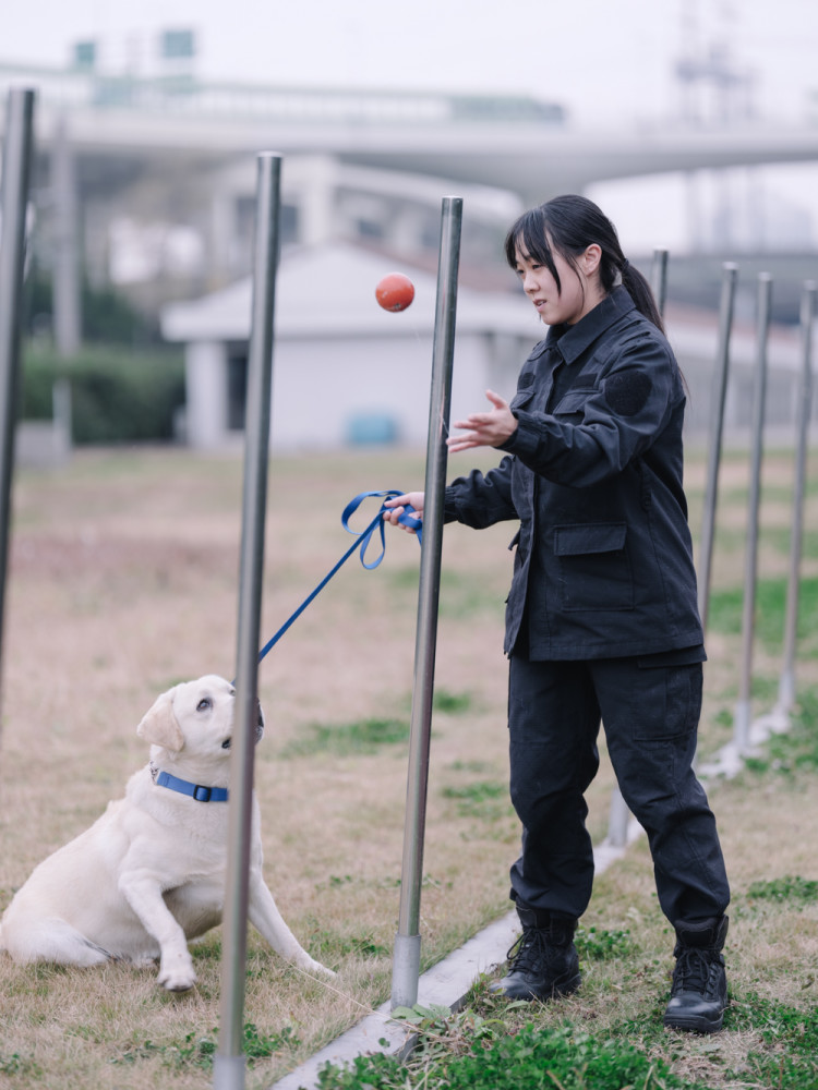 一条警犬的养成身边的动物