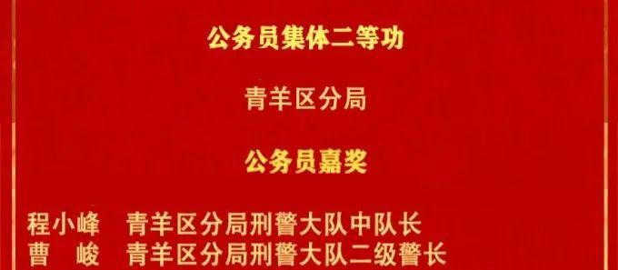 青羊公安荣获公务员集体二等功,刑警大队中队长程小峰,刑警大队二级