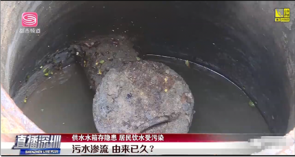 深圳南山荟芳园小区居民喝粪水数月 数千住户被波及(图1)