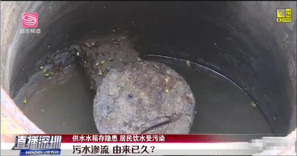 深圳南山荟芳园小区居民喝粪水数月 数千住户被波及(图2)