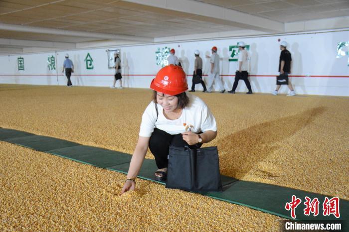 通讯中央储备粮绿色储粮记尽情享受高科技照顾