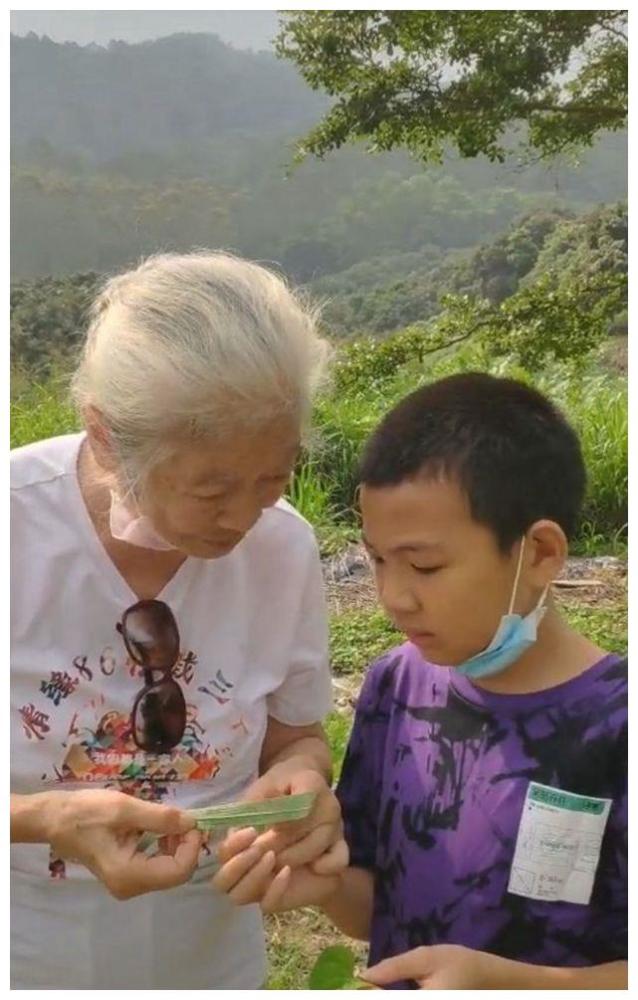 许妈的这一整个大家庭都是高知家庭:许妈爷爷许传桢毕业于华中大学,是