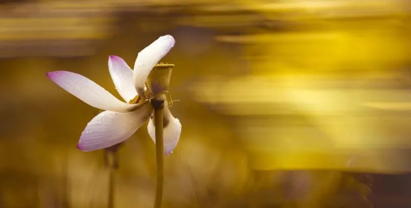 21年6月26日干支运势分析 腾讯新闻