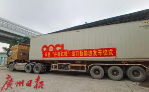 荔枝排行_排位结束超级荔枝系列赛双山比洞赛即将上演姐妹对决