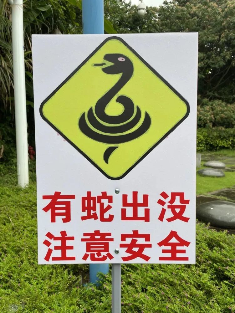 "蛇出没",这份攻略请收藏