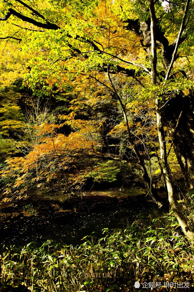 去日本四大名山之一的大山来一场徒步吧