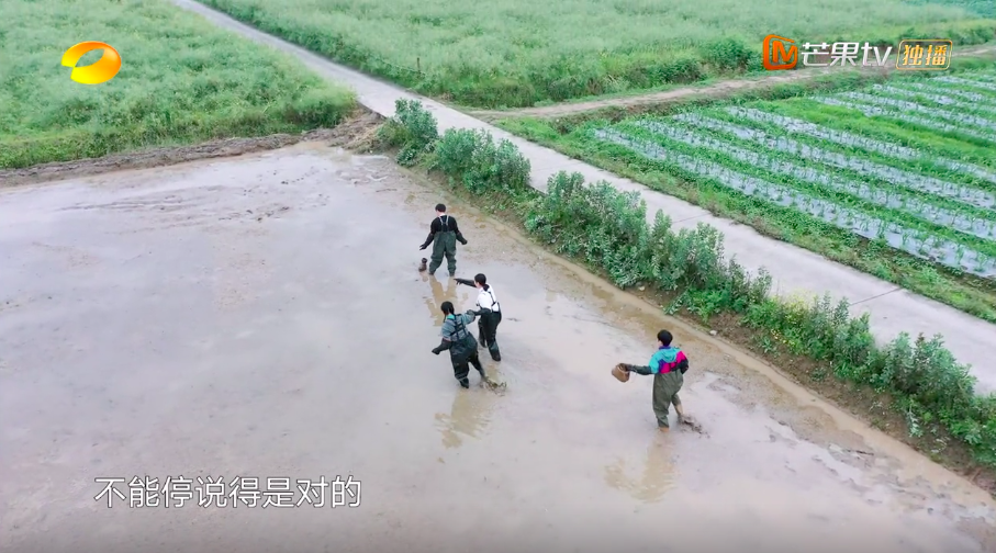 何炅在田间狼狈的三连跪 藏着对那英梁静无法言语的暖心呵护 全网搜