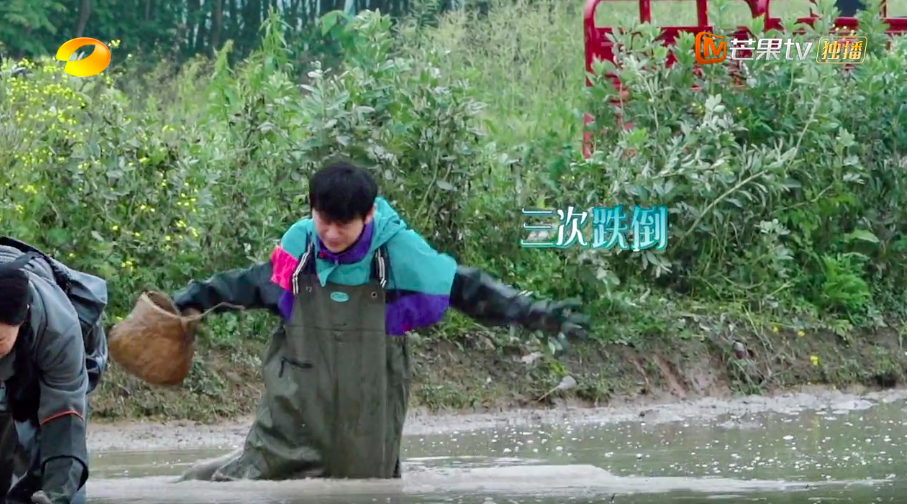 何炅在田间狼狈的三连跪 藏着对那英梁静无法言语的暖心呵护 全网搜