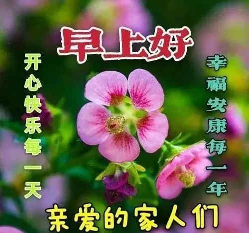 週六清晨早上好問候祝福動態表情圖片 星期六最新早安問候祝福圖片帶