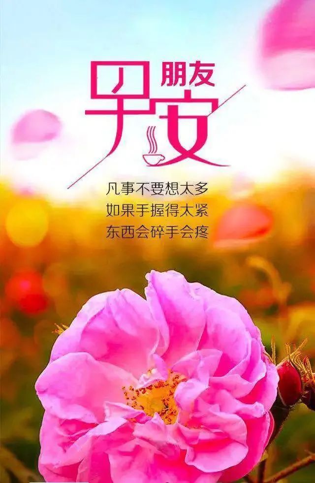 周末夏季清晨早上好漂亮动态祝福语图片祝福温馨 最新的早安问候祝福语短讯 腾讯新闻