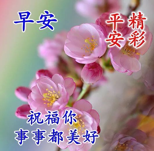 周六早上好慰问动态图片温暖早安问候美图祝福语周六夏天早安带字祝福