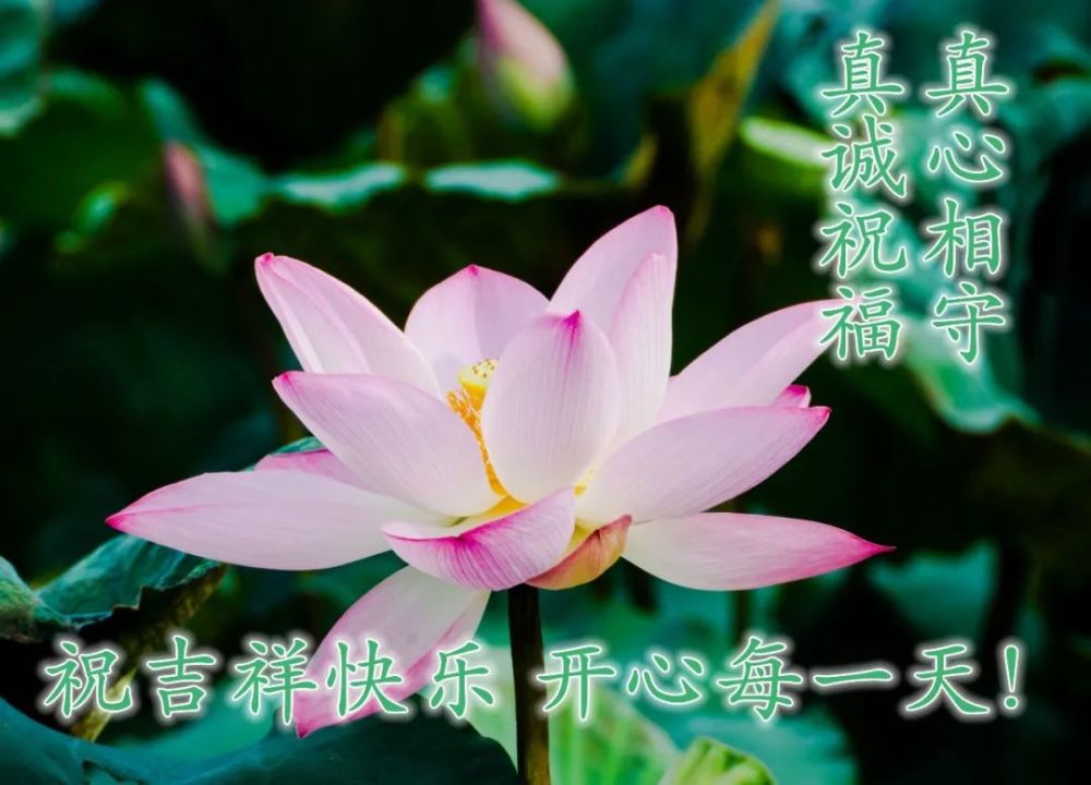 清晨早上好最美动态祝福图片带字温暖早安心语温馨祝福图片