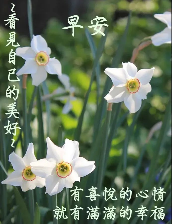 非常有創意的親人朋友早上好暖心的夏季早安問候祝福動態圖片帶字精選