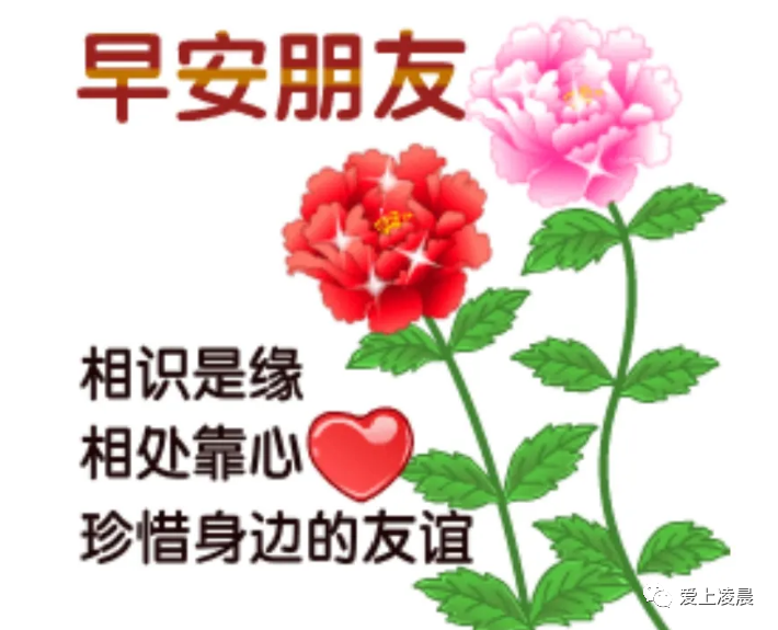 友情是人生中一笔无价的精神财富,它是除了亲人和爱情以外最难得的一