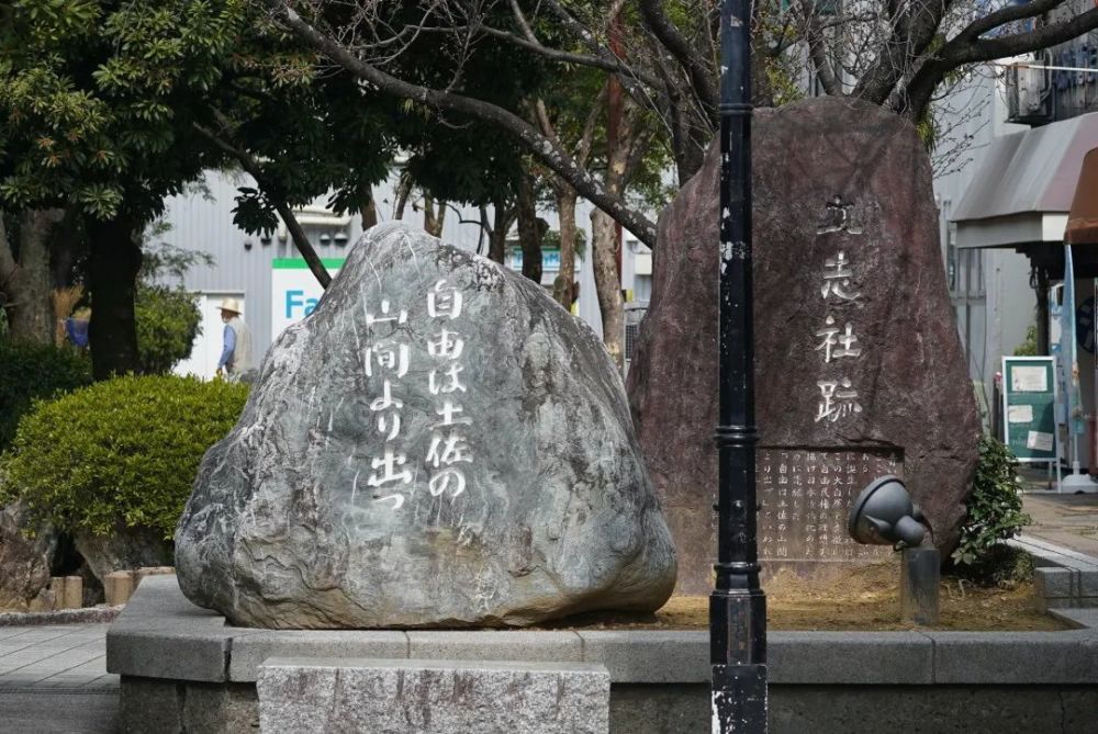 为了研究草木 他债台高筑 一生贫苦 终于成为了日本的 植物学之父 腾讯新闻