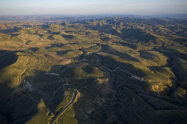 绿意盎然西海固