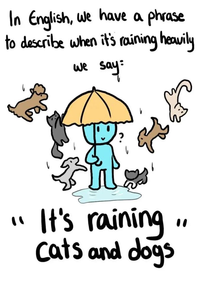 我们一般会对译为it is raining cats and dogs,而在遇到英文的这个