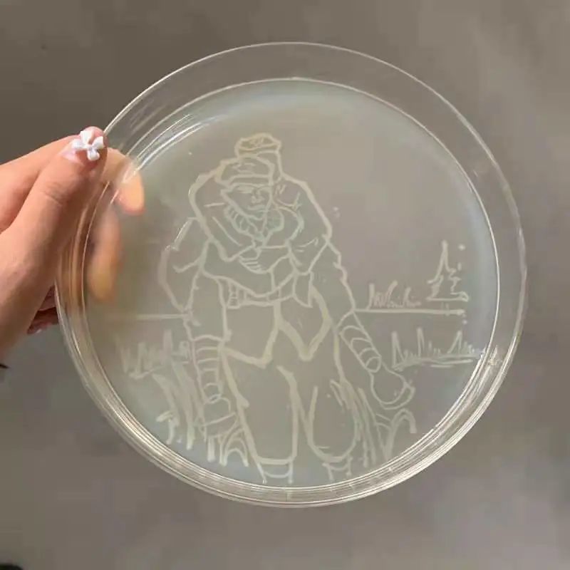 厉害!大连师生用细菌作画引央视关注