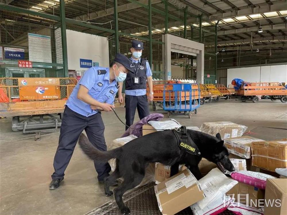 缉毒犬上阵查缉货物!湖北机场公安宣传禁毒走进机舱