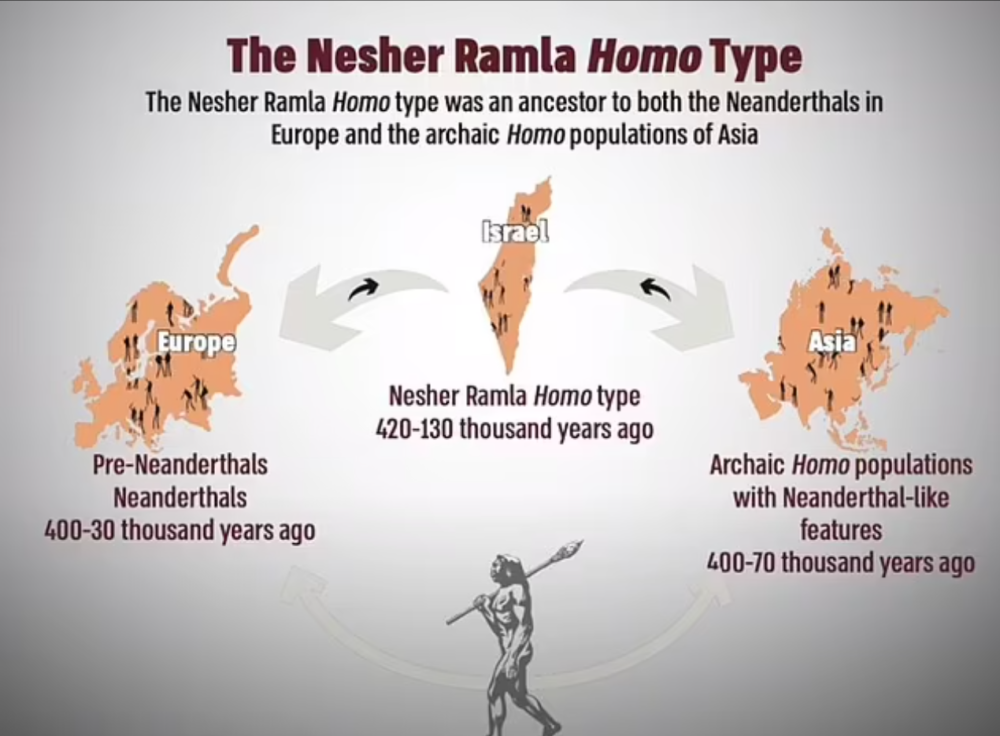 以色列發現新型古人類,或為尼安德特人祖先,與現代智人混血