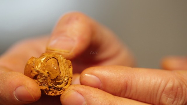 片仔癀一粒炒到千元牛黄在背后蠢蠢欲动40万元公斤不打折