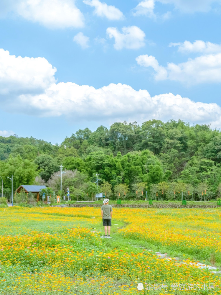 廣州拍照61在宮崎駿紅山村看最美的夏天