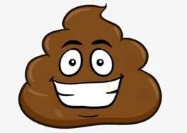 巧克力味的便便和便便味的巧克力,该怎么选?