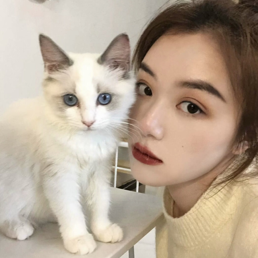 抱猫咪的女生头像或许你想拥有一只小猫咪吗