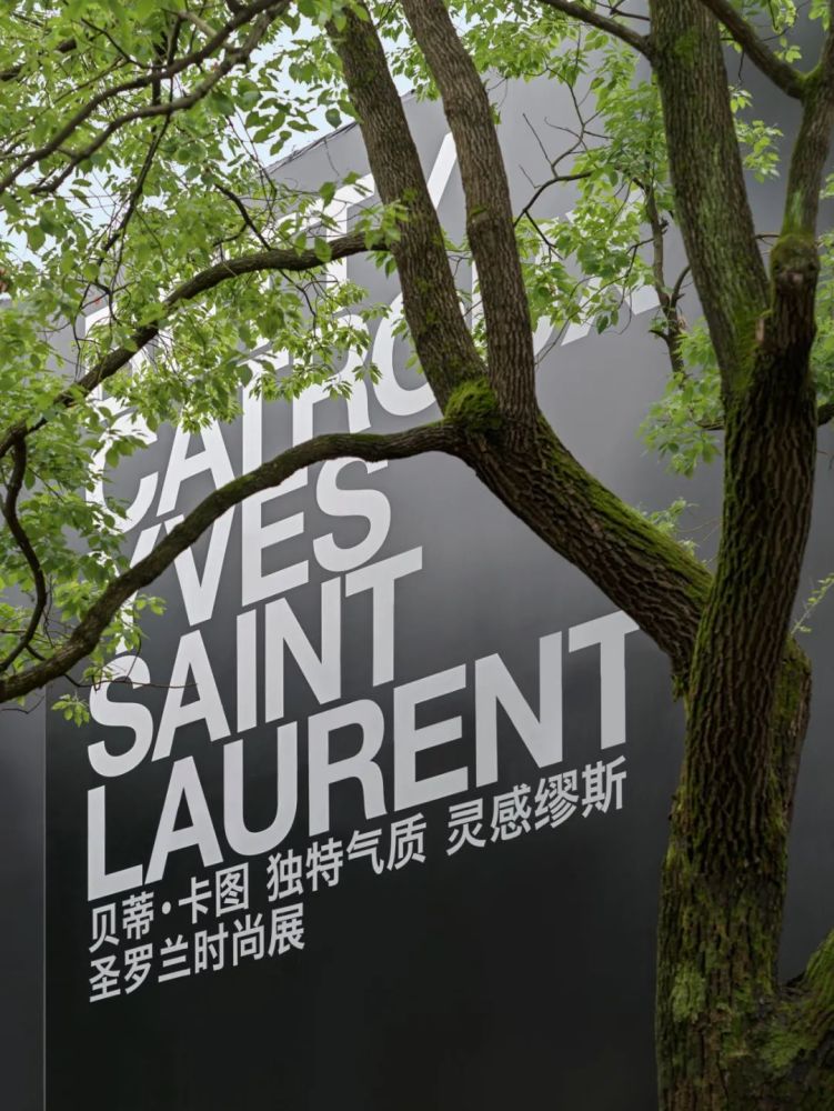 300 多件华服 讲述了这对时尚顶流cp 的一生 全网搜