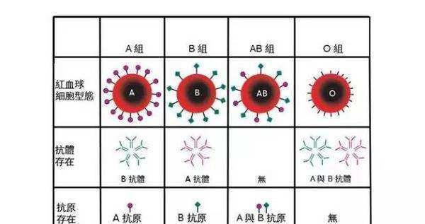 全国哪种血型的人最多 和你一样血型有多少人 血型与性格有关吗 腾讯新闻