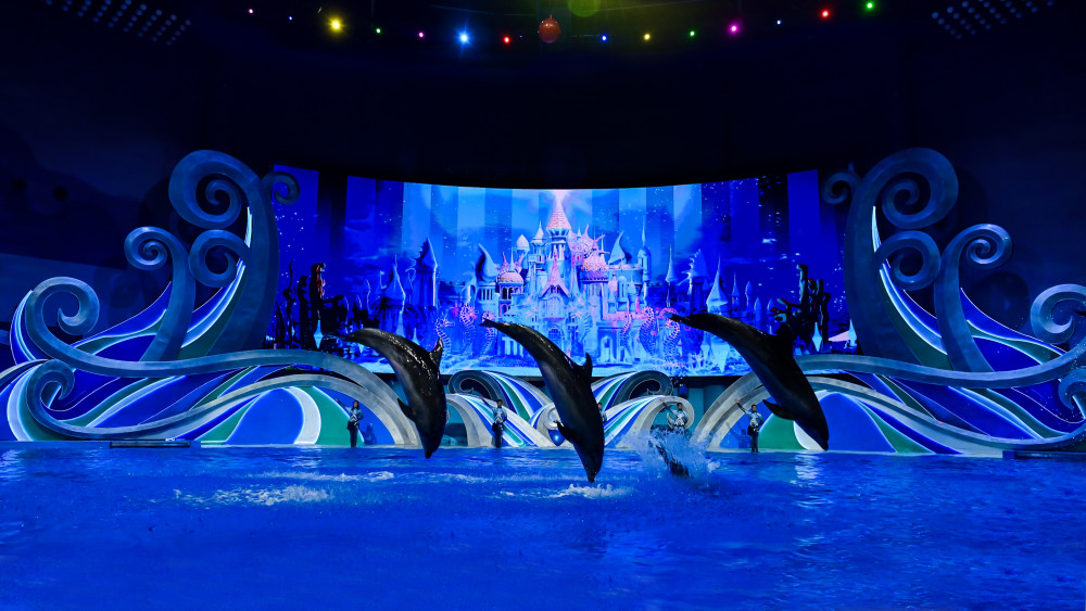 将填补桂林文旅产业的多项空白:融创海世界,是桂林首家集海洋动物博览